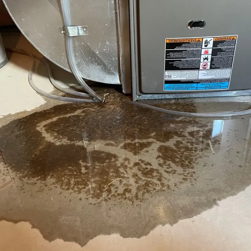 Pipe Burst and Leak Restoration in Park County, WY