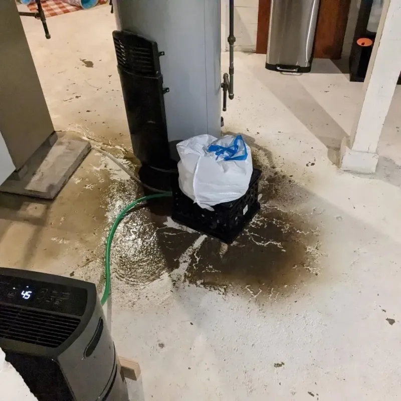 Sewage Backup Cleanup Service in Park County, WY